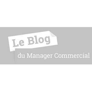 blog manager commercial